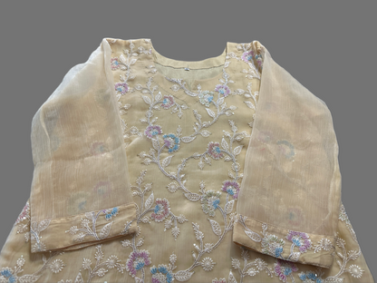 Lemon yellow crushed organza with embroidery in 2XL