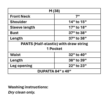 Women’s Rust Chinnon Embroidered Kurta Set in M