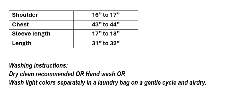 Women’s Sky Blue Embroidered Organza in XXL