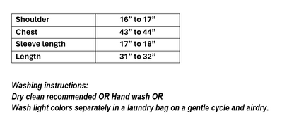 Women’s Sky Blue Embroidered Organza in XXL