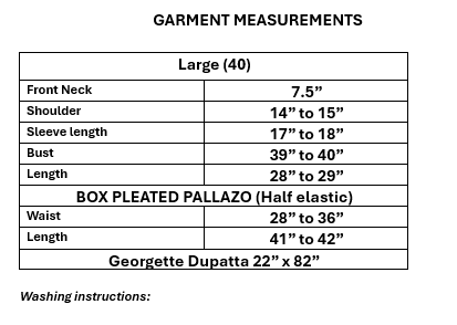 Women's Georgette Embroidered Kurta with Box Pleated Palazzo Set in L