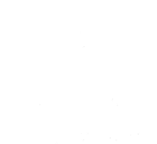 NH Collections